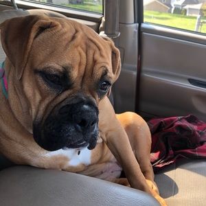 Meet your Posher, Stefanie